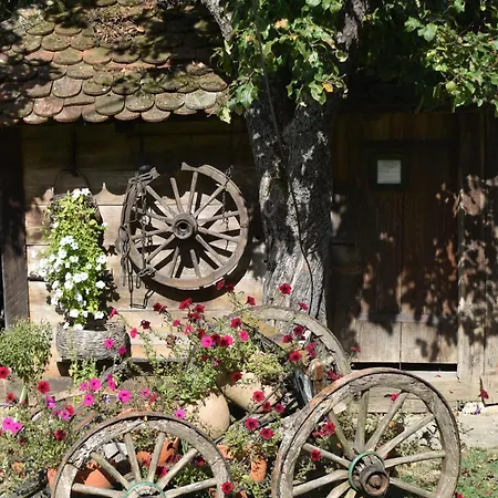 Terzica Avlija לינה וארוחת בוקר Sevojno