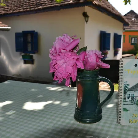 Terzica Avlija לינה וארוחת בוקר *