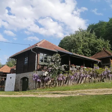 לינה וארוחת בוקר Terzica Avlija Sevojno