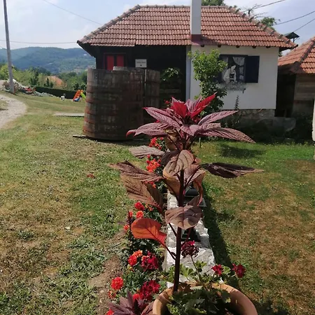 Terzica Avlija *