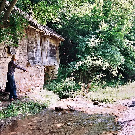 Terzica Avlija לינה וארוחת בוקר
