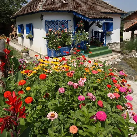 לינה וארוחת בוקר Terzica Avlija