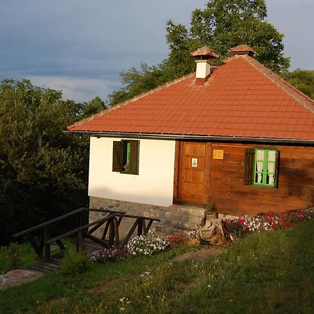 לינה וארוחת בוקר Terzica Avlija *